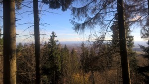 WP_20151107_14_12_10_Pro_res