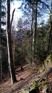 WP_20151219_014
