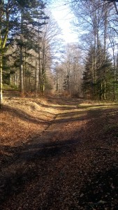 WP_20151219_037