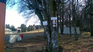 WP_20151219_046