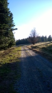 WP_20151219_057