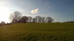 WP_20151225_005