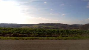 WP_20151225_010