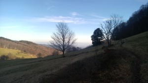WP_20151227_030