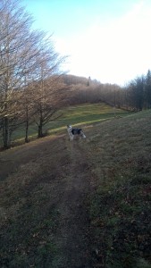 WP_20151227_031