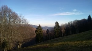 WP_20151227_035