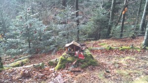 WP_20160103_003