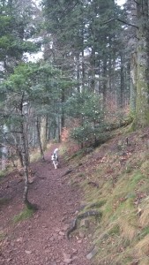 WP_20160103_006