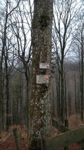 WP_20160103_008