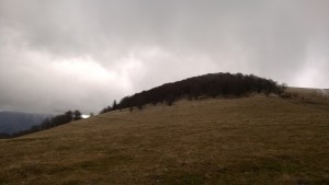 WP_20160103_013
