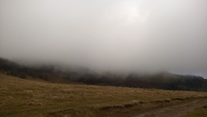 WP_20160103_015