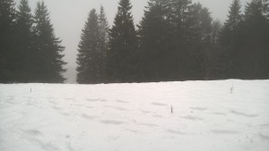 WP_20160109_001