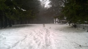 WP_20160109_005