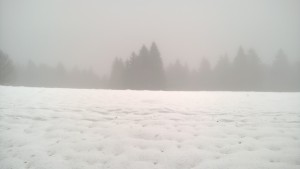 WP_20160109_006