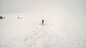 WP_20160109_007