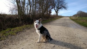 WP_20160206_014
