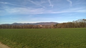 WP_20160206_026